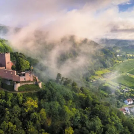 Porzelt -ferien Im Weingut - 2