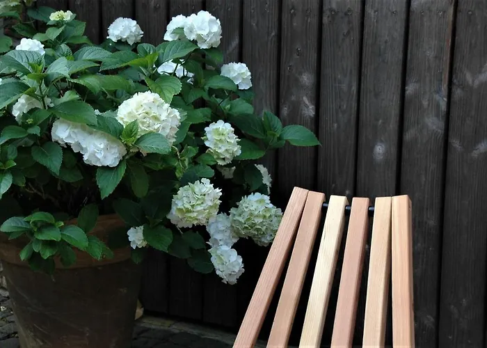 Porzelt 2 Apartamento Klingenmünster